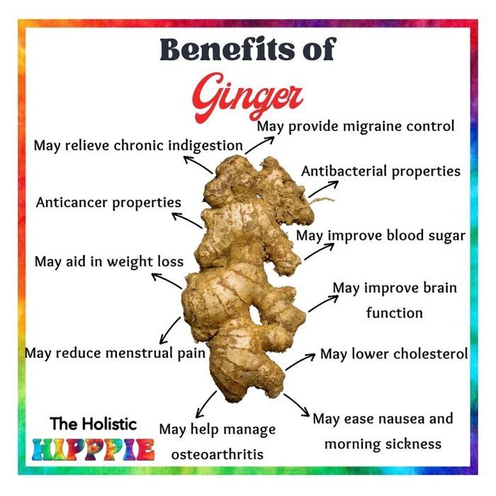 Benefits of Ginger Benefits of Ginger