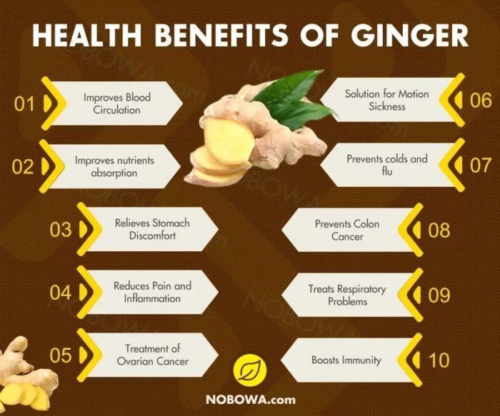 Ginger Benefits Manfaat lengkuas