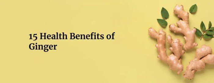The Benefits of Ginger The Benefits of Ginger