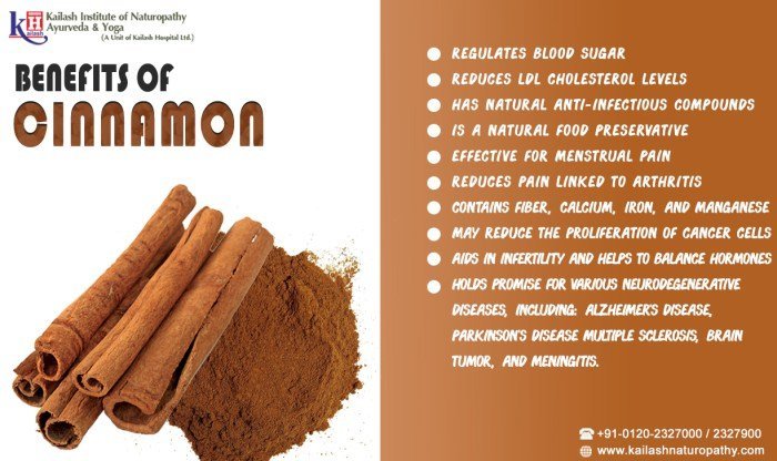Cinnamon - Benefits | Indusladies Cinnamon - Benefits | Indusladies