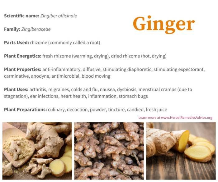 120 best Benefits of Ginger images on Pinterest | Natural remedies ... 120 best Benefits of Ginger images on Pinterest | Natural remedies ...