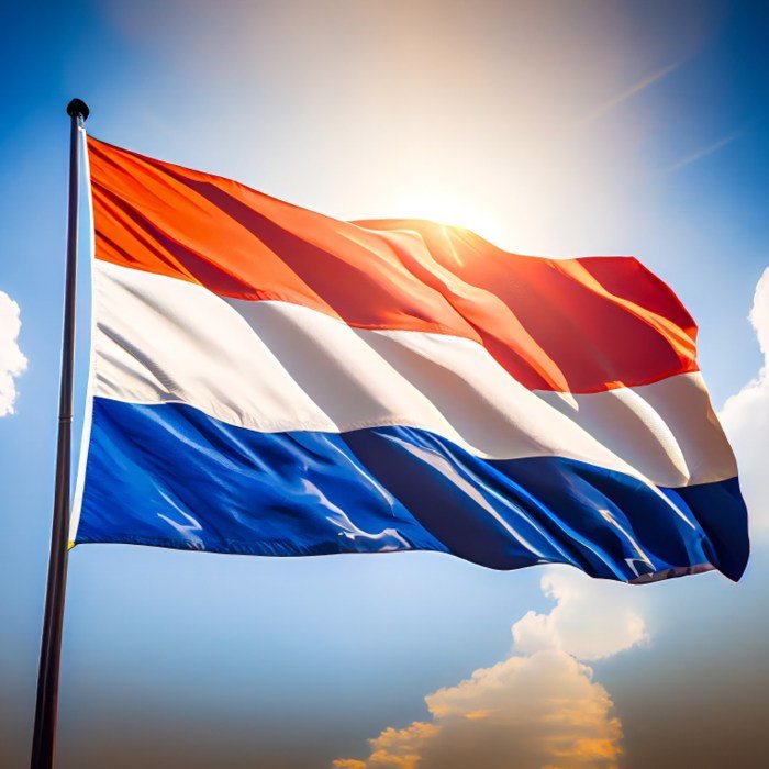 Online Dutch Course | Hollandse Meester Online Dutch Course | Hollandse Meester