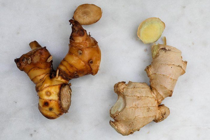 Thai-ginger, Thai galangal, Langkwas or galanga root (Alpinia galanga ... Thai-ginger, Thai galangal, Langkwas or galanga root (Alpinia galanga ...