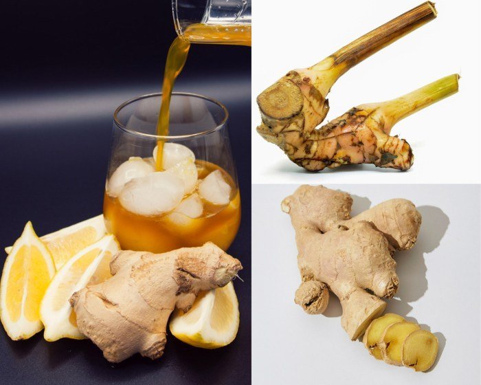 What is the Difference Between Ginger and Galangal??! - YouTube What is the Difference Between Ginger and Galangal??! - YouTube