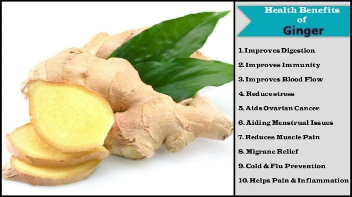 Ginger Benefits Ginger Benefits