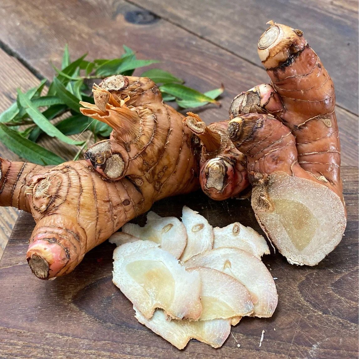Galangal vs. Ginger - Healthier Steps Galangal vs. Ginger - Healthier Steps