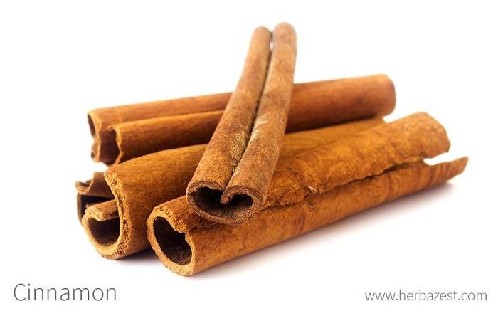 Unlocking the Power of Cinnamon for Health and Happiness - YouTube Unlocking the Power of Cinnamon for Health and Happiness - YouTube