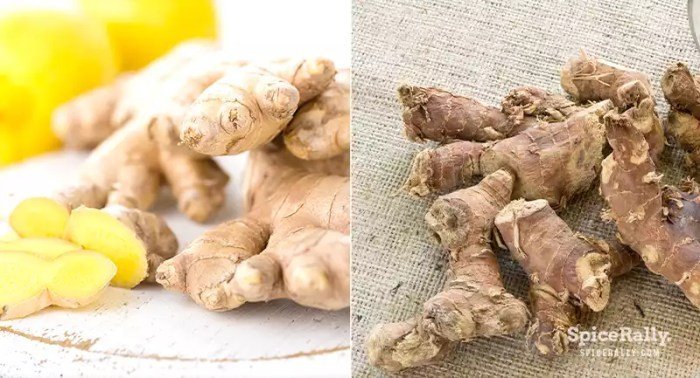 Ginger vs Galangal- Things You Need To Know About These Two Rhizomes! Ginger vs Galangal- Things You Need To Know About These Two Rhizomes!