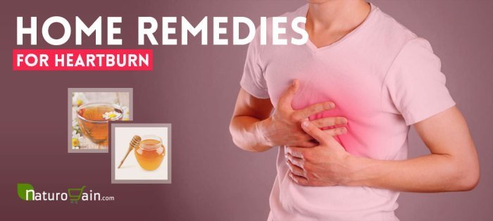 6 Home Remedies For Heartburn Jahe untuk asam lambung