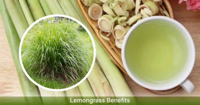 14 amazing health benefits of lemongrass tea how to prepare – Artofit 14 amazing health benefits of lemongrass tea how to prepare – Artofit