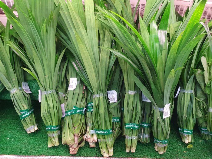 Pandan Leaves Information, Recipes and Facts Efek buruk daun pandan