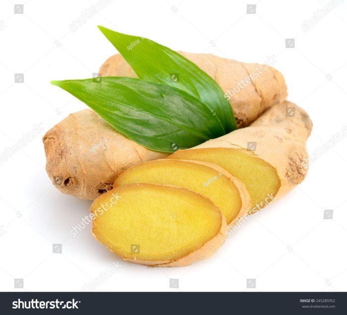 Ginger stock photo. Image of macro, plant, sweet, isolated - 2049036 Ginger stock photo. Image of macro, plant, sweet, isolated - 2049036