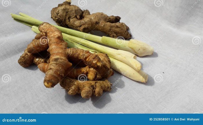 Lemongrass Turmeric Tea Teh jahe kunyit serai