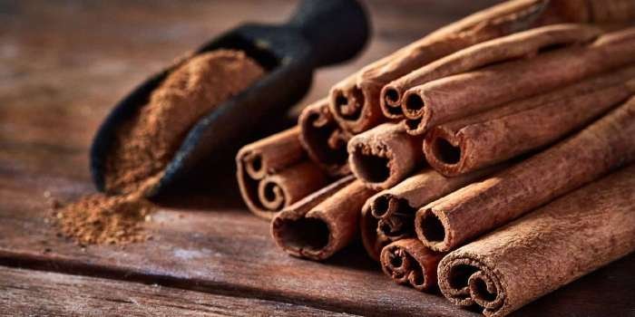 Everything You Ever Wanted to Know About Cinnamon Everything You Ever Wanted to Know About Cinnamon