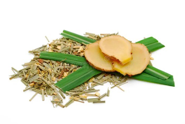 Teh Jahe Kunyit Serai Sehat Kita Herbal Minuman Sehat untuk Tubuh
